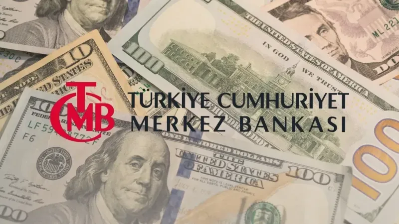 Merkez Bankası rezervleri
